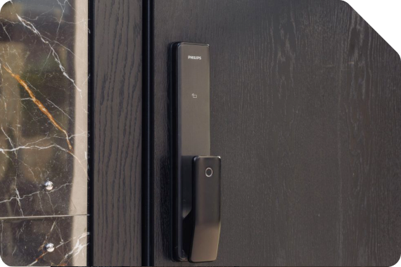 Биометрический замок Philips на стальной двери Metako